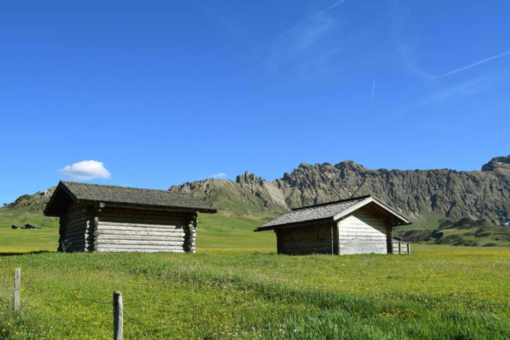App Schlossblick - Wohnung Hammerwand 2 Umes Екстер'єр фото